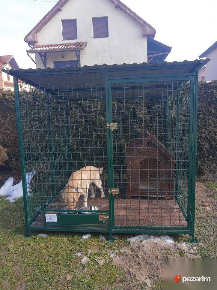 Boks za pse 4