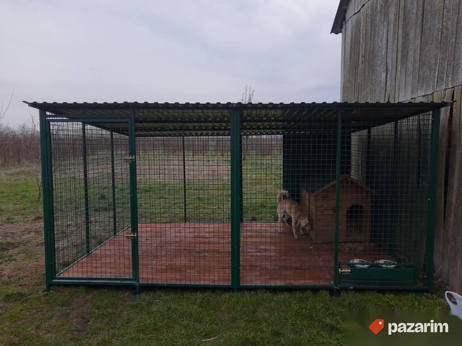Boks za pse box kavez Jeremic G12 NOVO 4x3m 2
