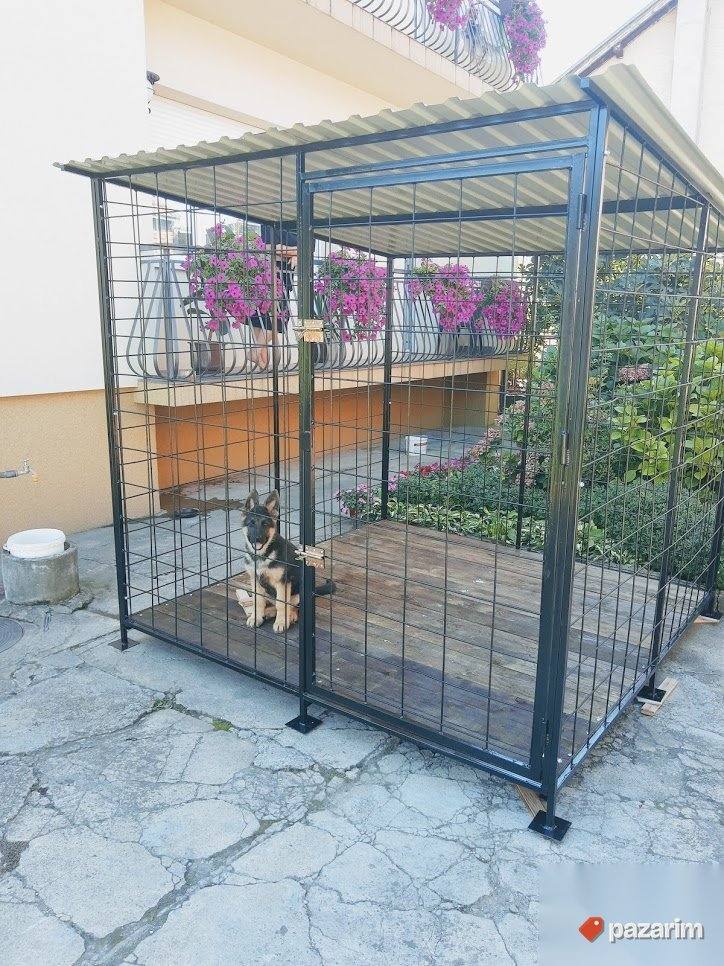 Boks za pse 1