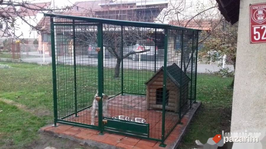 Boks za pse 2