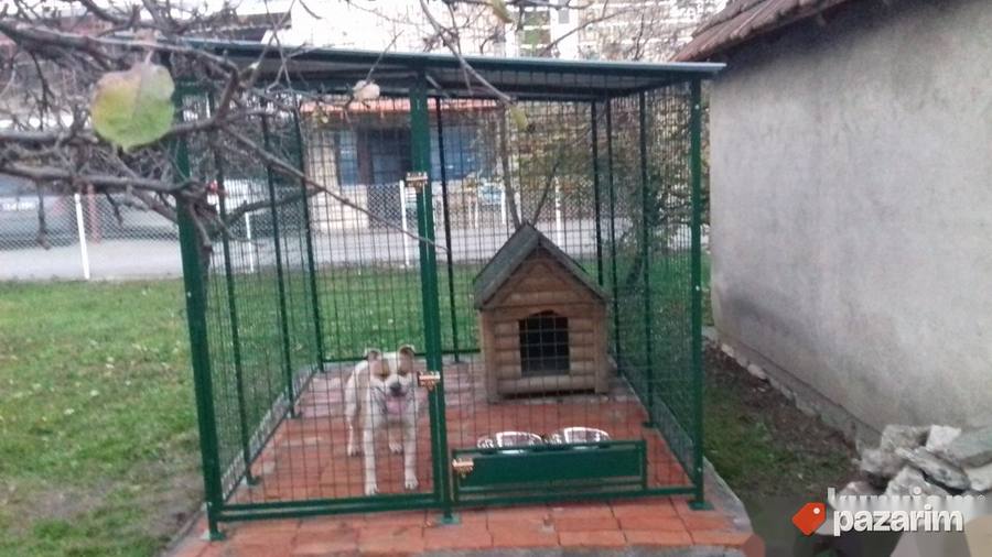 Boks za pse 3