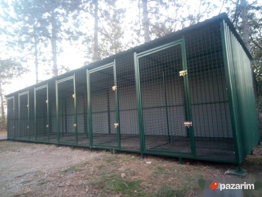 Boksevi za pse 6