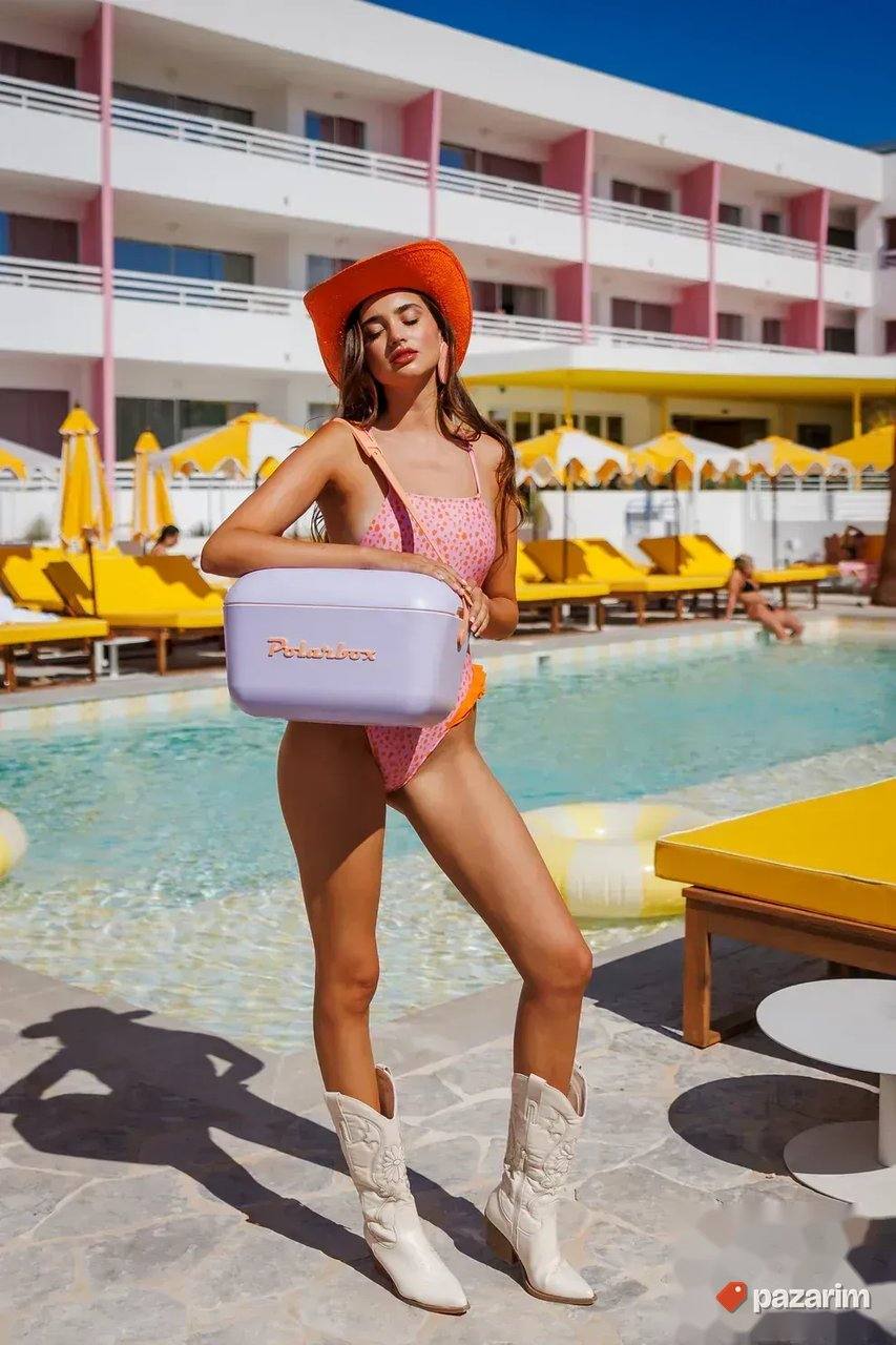 Rashladna kutija 20l Rucni frizider Polarbox vise boja 7
