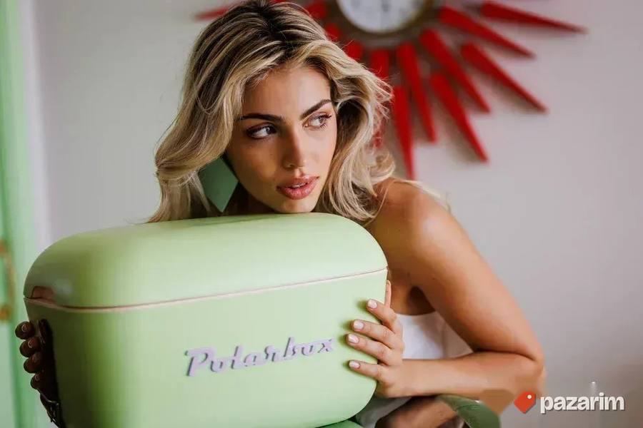 Rashladna kutija 12l Rucni frizider za plazu Polarbox 12L 6