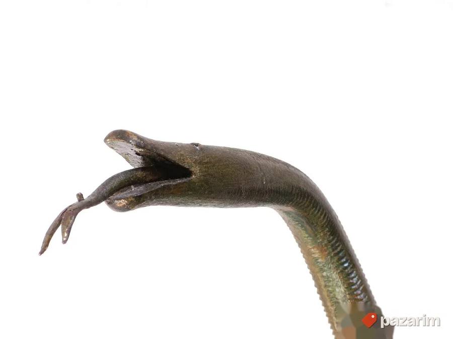 Izvanredna figura zmije, stalak 8