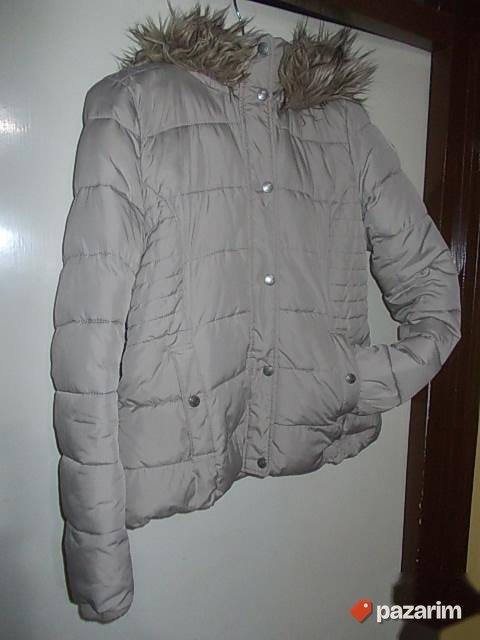 C. Giant LP-6210C