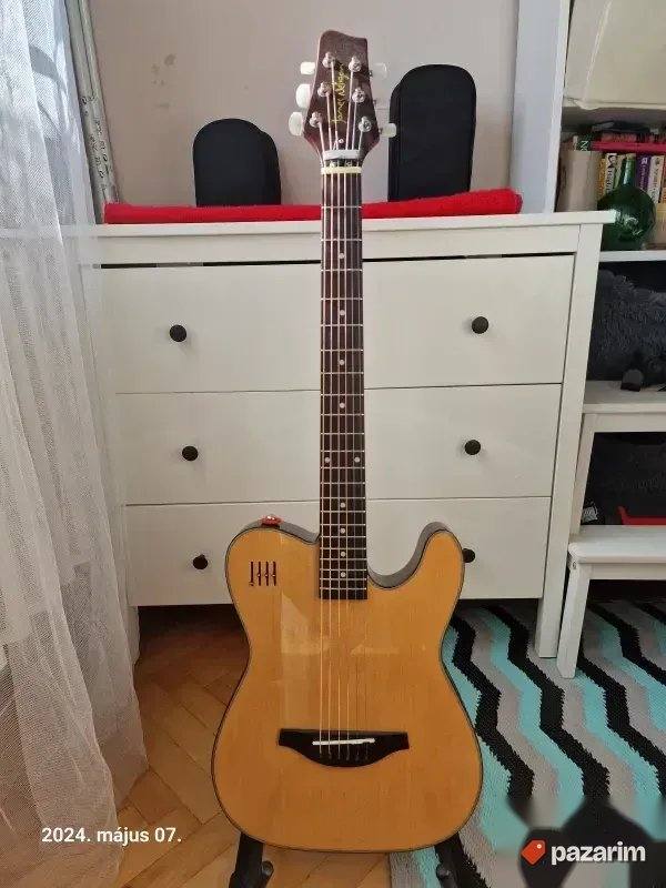 JAMES NELIGAN EW3000CN, 2 NOVE američke gitare. Cena u Mitro 1