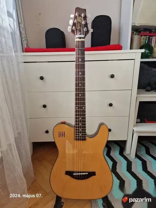 JAMES NELIGAN EW3000CN, 2 NOVE američke gitare. Cena u Mitro