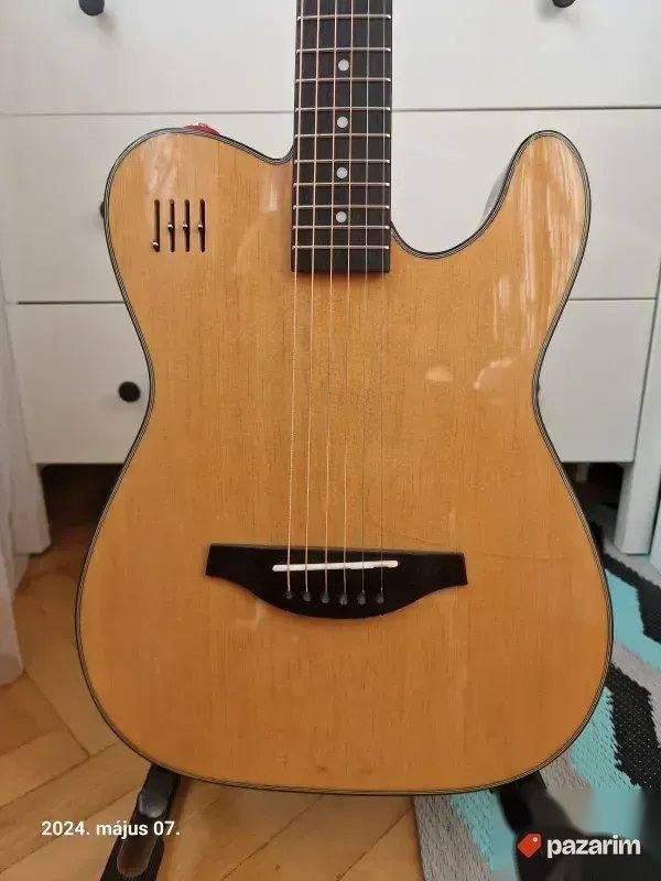 JAMES NELIGAN EW3000CN, 2 NOVE američke gitare. Cena u Mitro 4