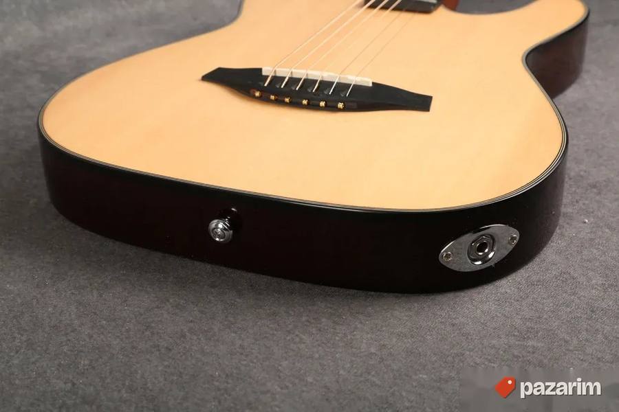 JAMES NELIGAN EW3000CN, 2 NOVE američke gitare. Cena u Mitro 6