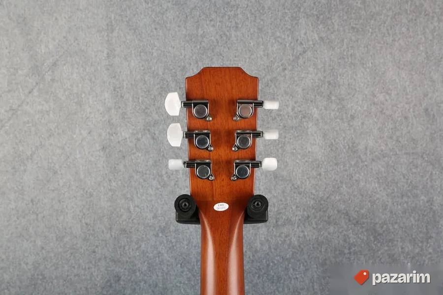 JAMES NELIGAN EW3000CN, 2 NOVE američke gitare. Cena u Mitro 8