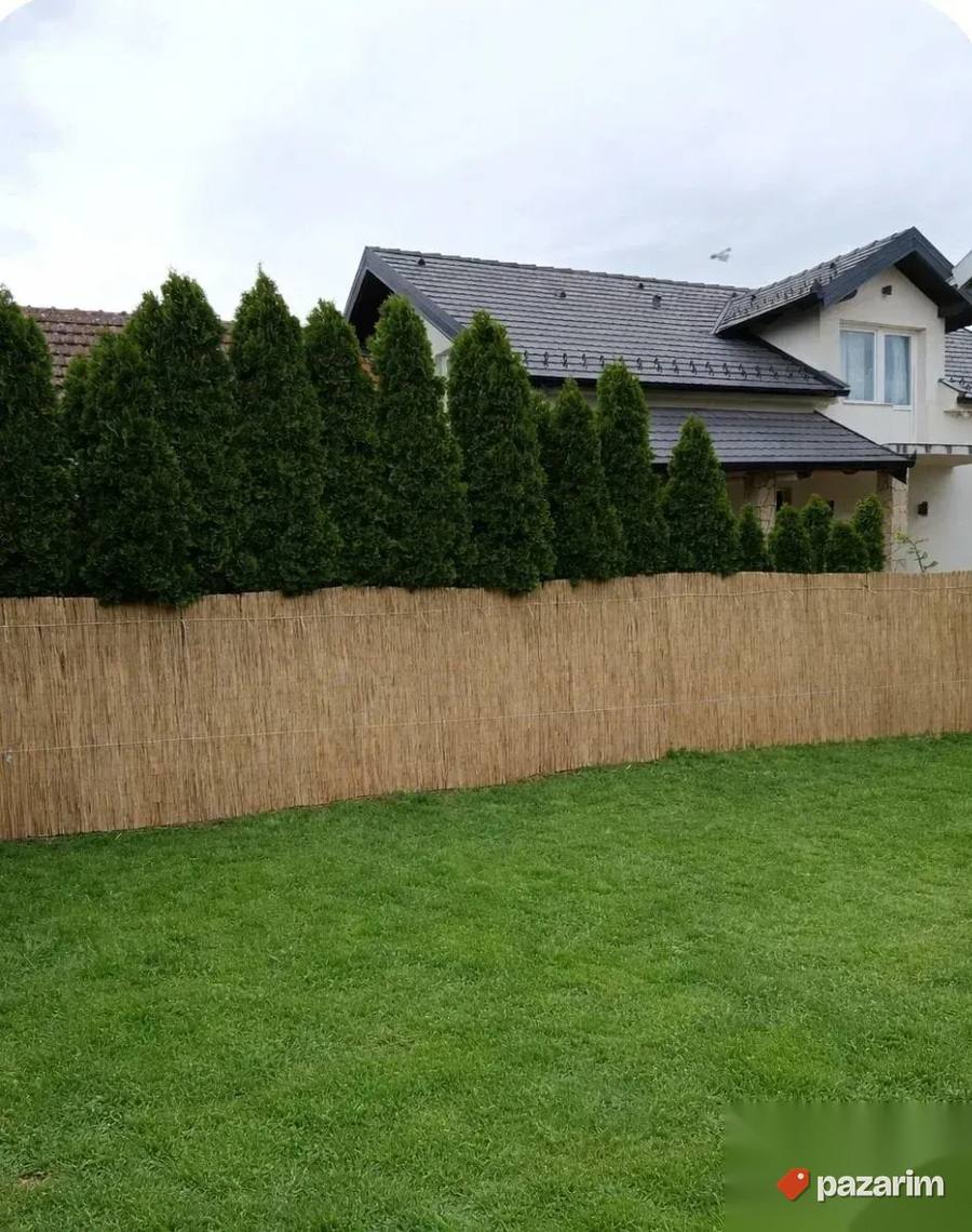 Trska sa montažom 2