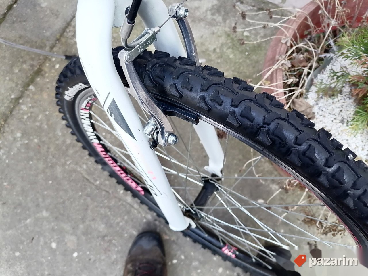 capriolo diavolo 18 speed 4