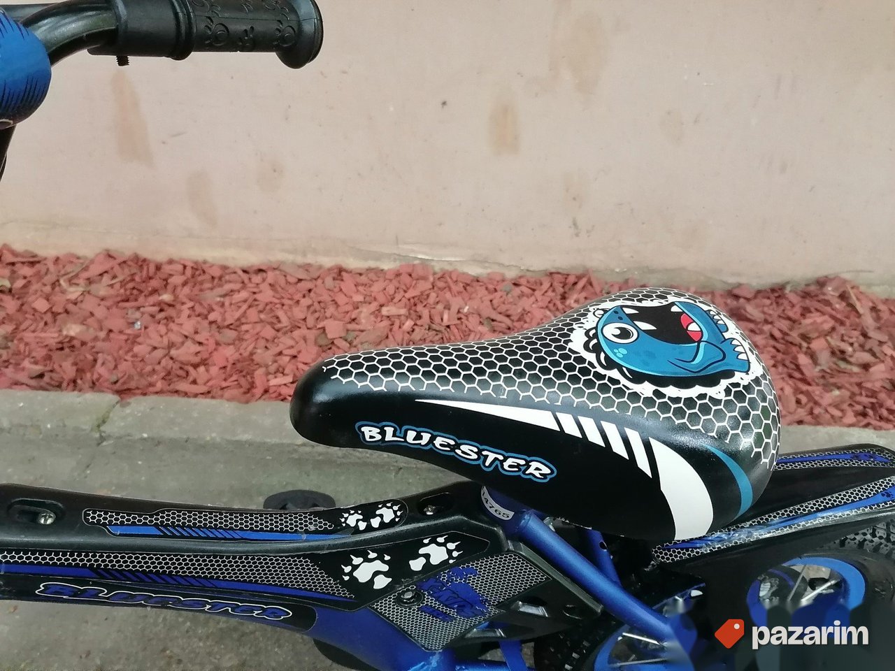 Bluester 12 coli NOVO 7