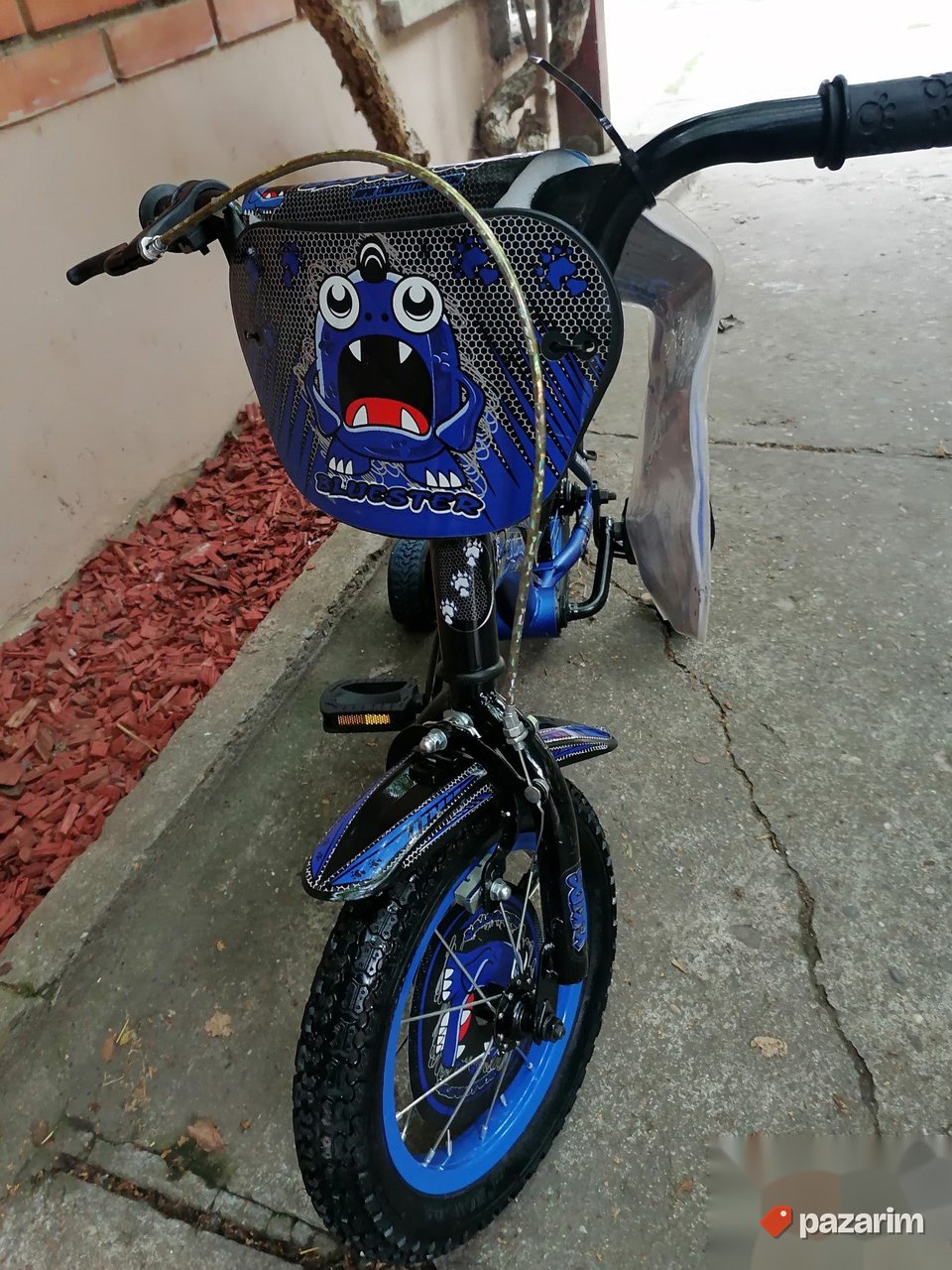 Bluester 12 coli NOVO 8