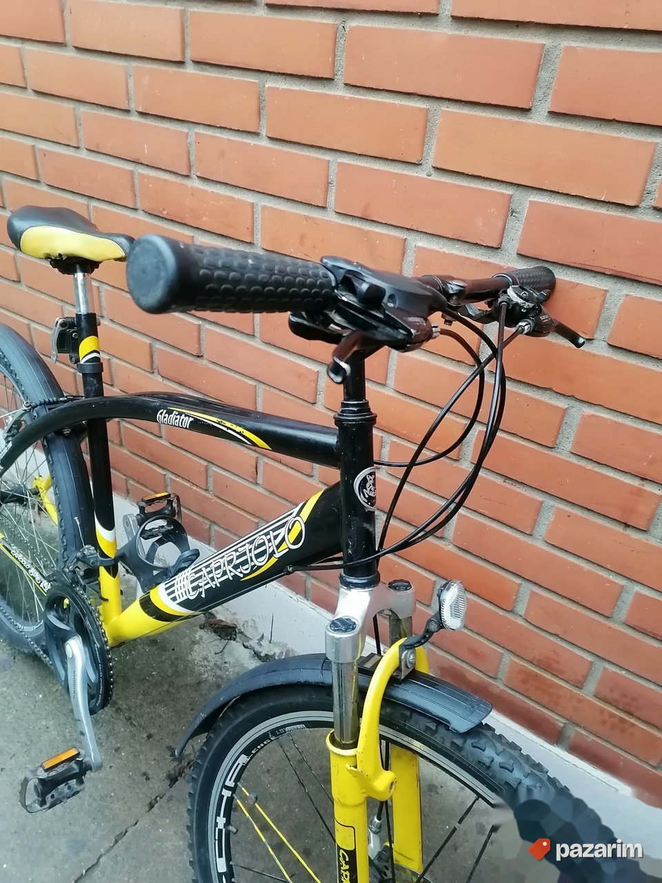 Capriolo Gladijator 26/21 BRZINA 4