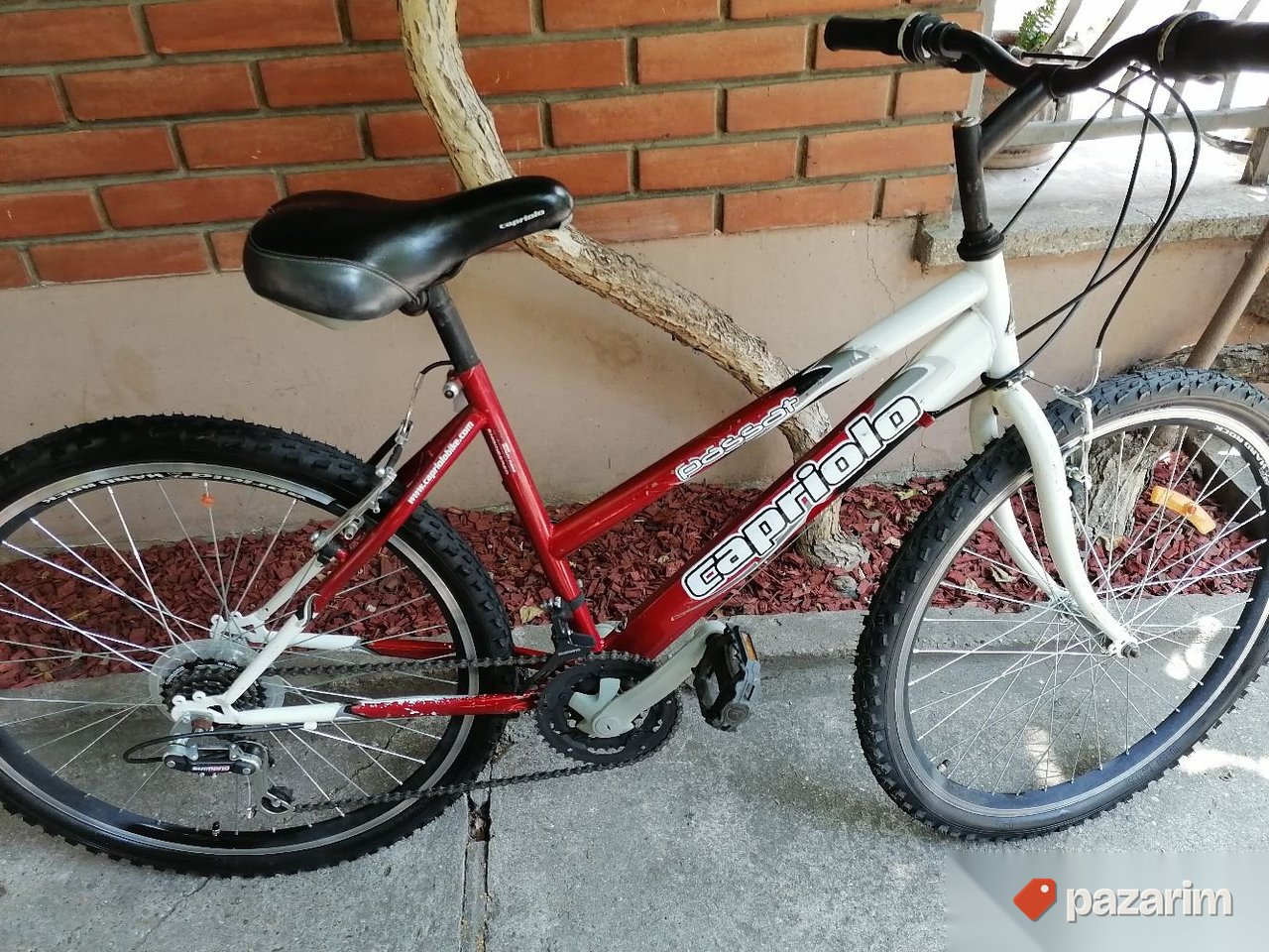 Bicikl Capriolo Passat zenski mtb bicikl 26 /18brz 1