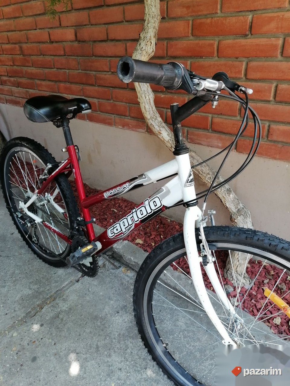 Bicikl Capriolo Passat zenski mtb bicikl 26 /18brz 7