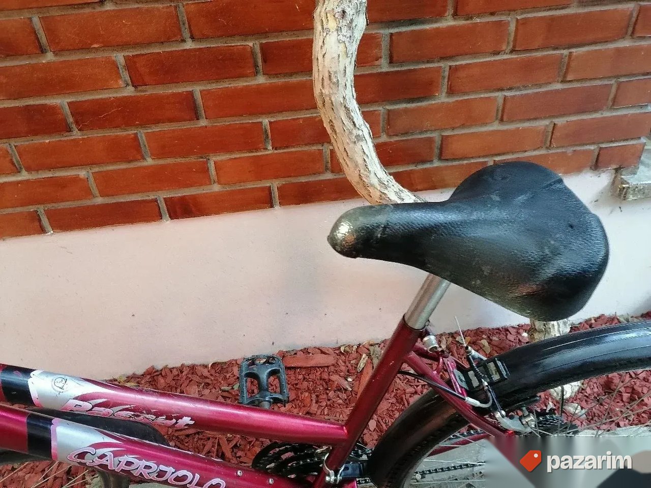 Capriolo Passat 26 coli sa 18 brz Simano 3