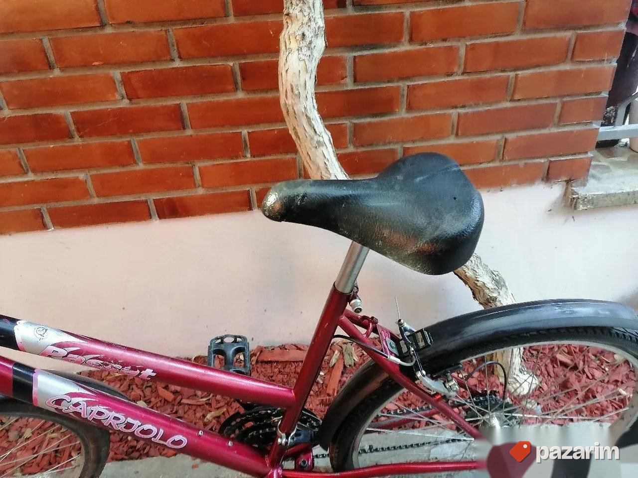 Capriolo Passat 26 coli sa 18 brz Simano 8