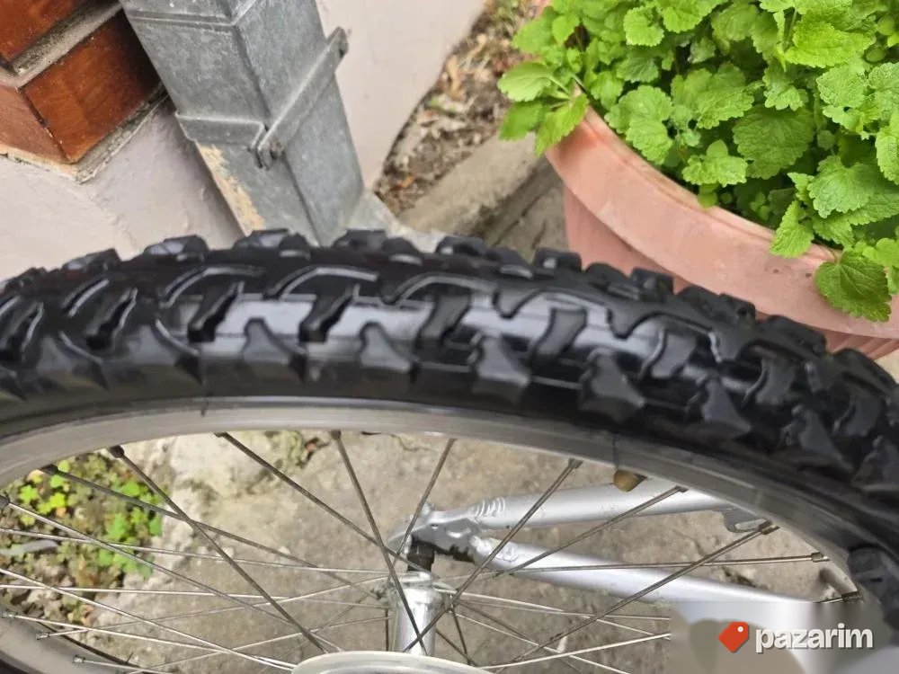 KTM 24" alu 5