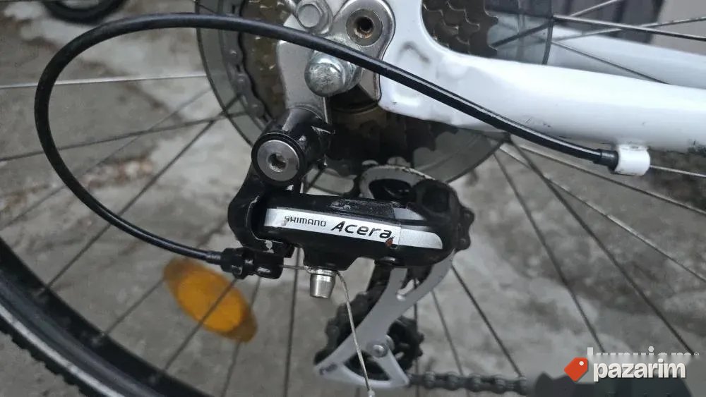 Triumph 28 dinamo 3