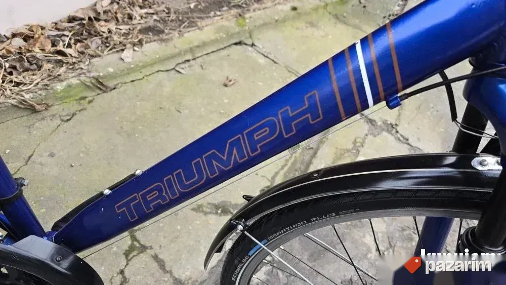 Triumph 28 dinamo 5