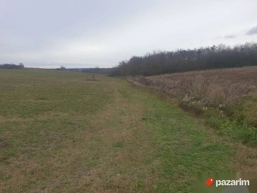 Plac na obroncima Planine Kosmaj-Velika Ivanca 120ari deljiv 4