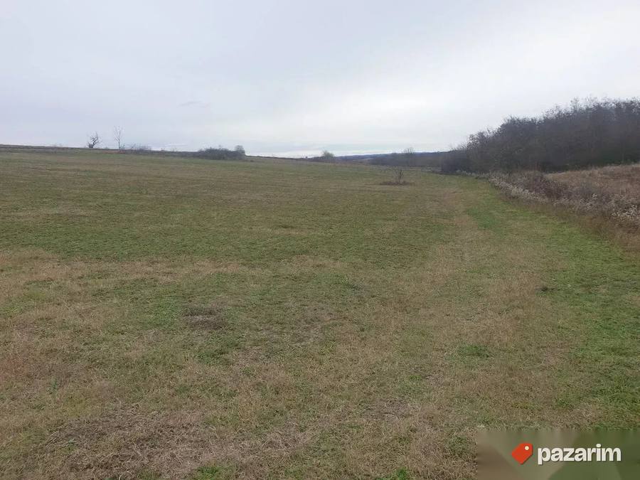 Plac na obroncima Planine Kosmaj-Velika Ivanca 120ari deljiv 5