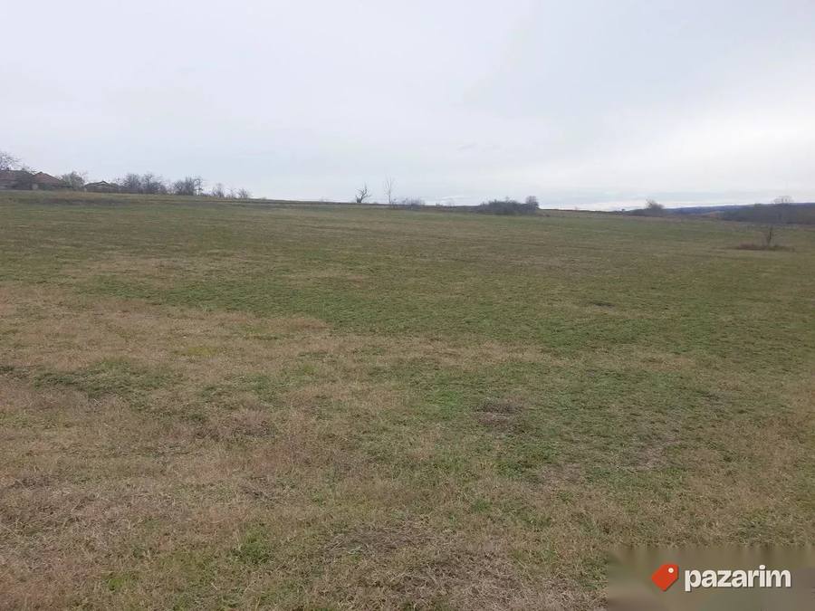 Plac na obroncima Planine Kosmaj-Velika Ivanca 120ari deljiv 6