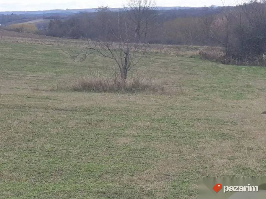 Plac na obroncima Planine Kosmaj-Velika Ivanca 120ari deljiv 7