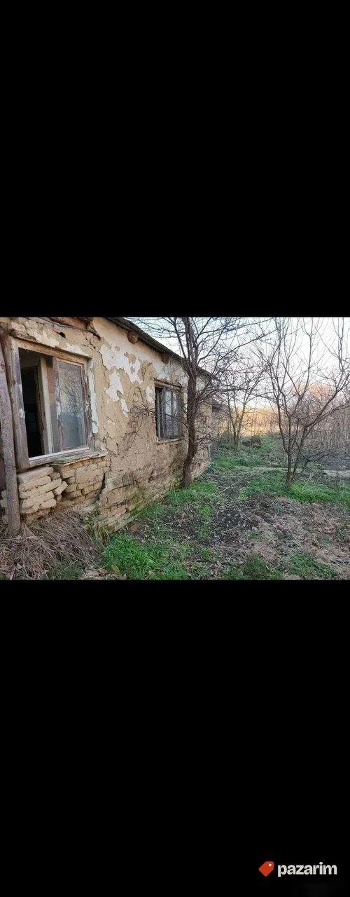 tudora vladimiresku, Uzdin, Kovačica 5