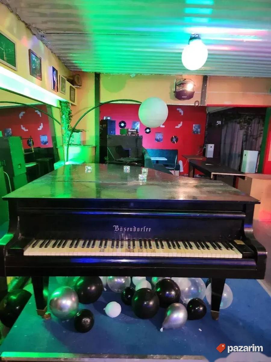 koncertni klavir 3