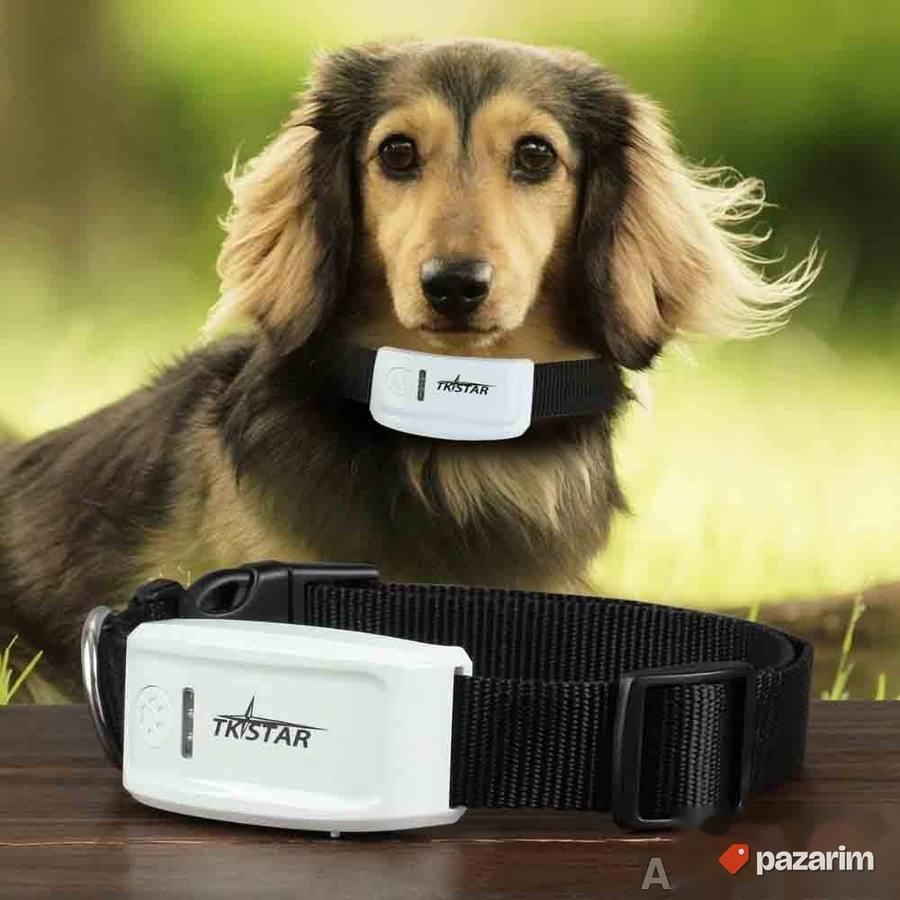 Rasprodaja! GPS Ogrlica Traker Tracker GPS Lokator TK909 935 4