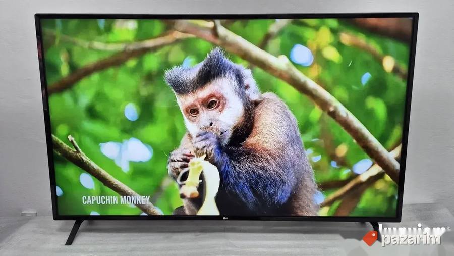 LG 65 Inca 4K UHD Smart Wifi LED 3
