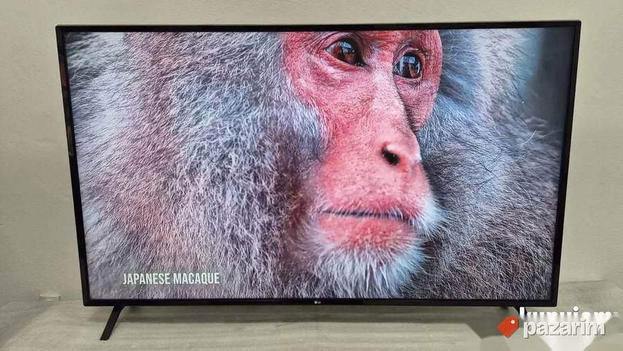 LG 65 Inca 4K UHD Smart Wifi LED 5