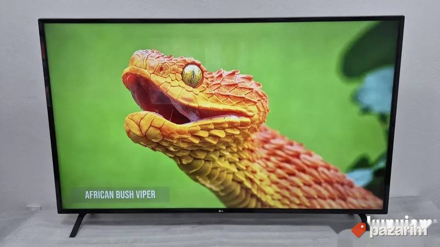 LG 65 Inca 4K UHD Smart Wifi LED 6