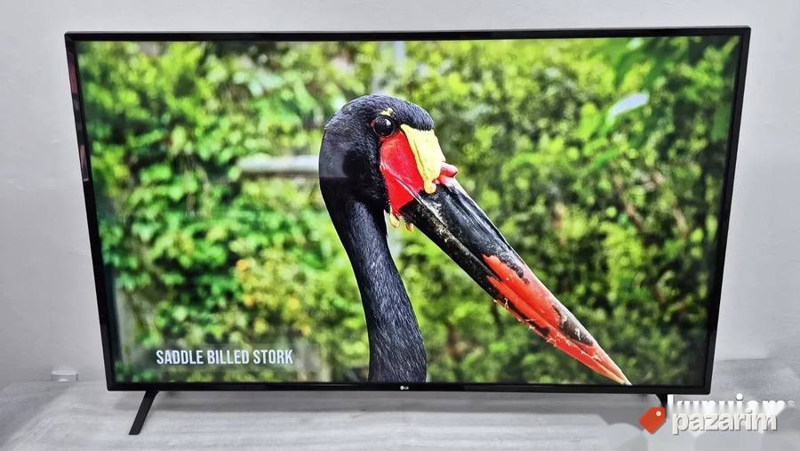 LG 65 Inca 4K UHD Smart Wifi LED 8