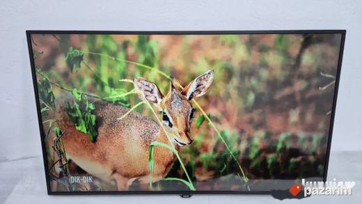 Philips 55 Inca 4K UHD Smart Led