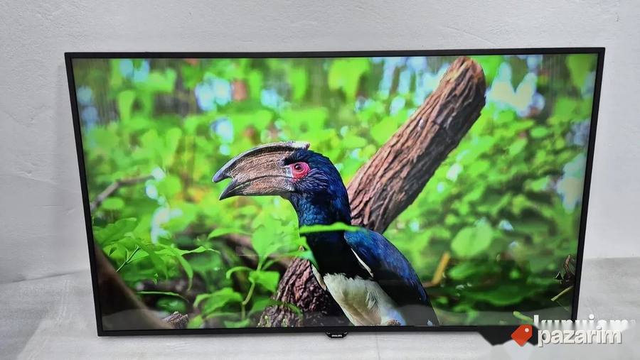 Philips 55 Inca 4K UHD Smart Led 3