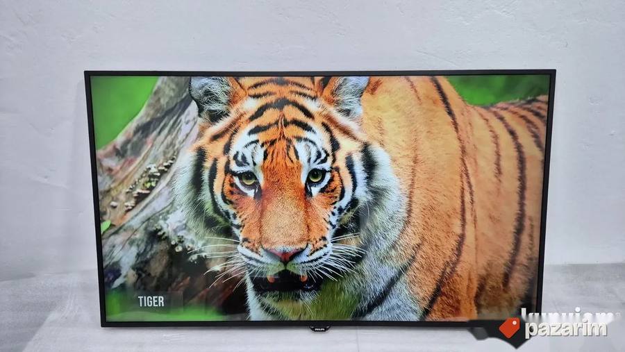 Philips 55 Inca 4K UHD Smart Led 4