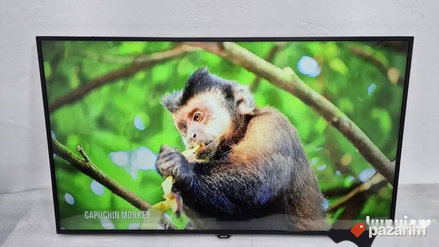 Philips 55 Inca 4K UHD Smart Led 5