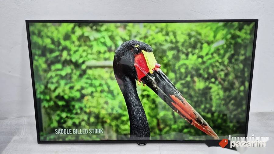 Philips 55 Inca 4K UHD Smart Led 6