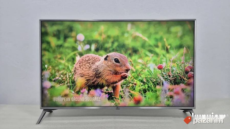 TV LG 49 Inca 4K Ultra HD smart Wifi Led 3