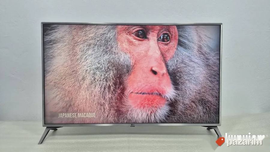 TV LG 49 Inca 4K Ultra HD smart Wifi Led 8