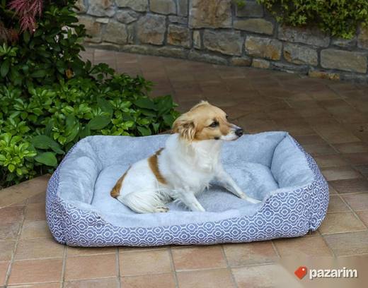 Krevet za Pse i Macke 62 x 50 x 17 cm Vodootporan Rocky Bed