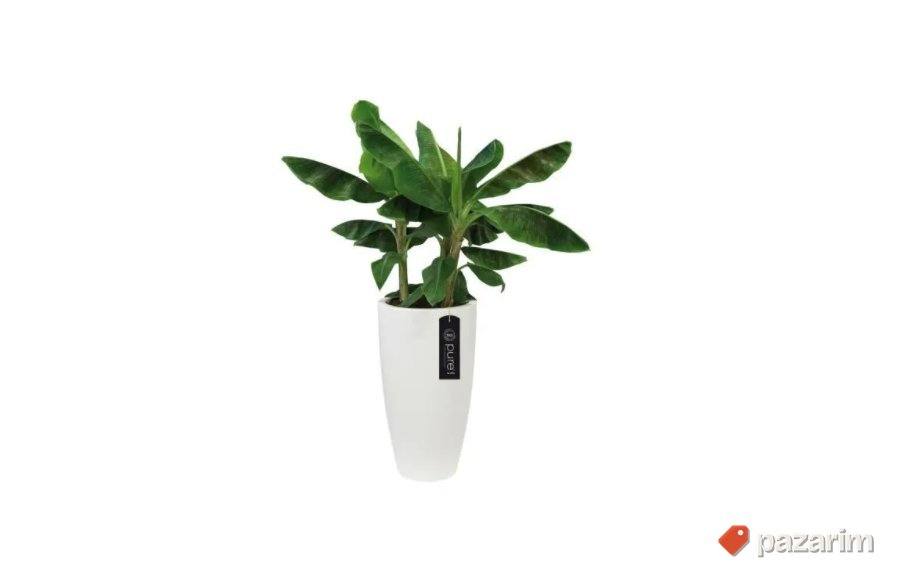 Saksija bela 53cm - Elho 6