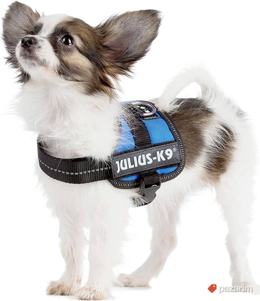Pojas za Pse Julius-K9 Baby2 5