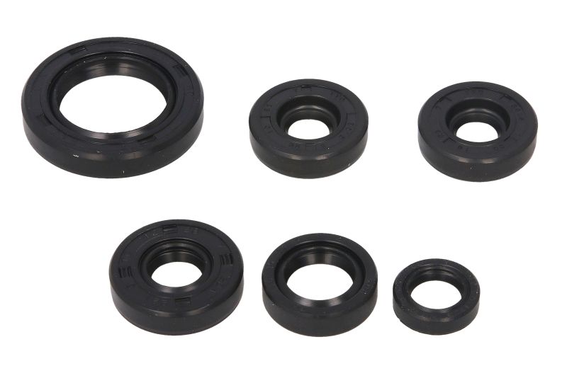 Set simeringa motora Can-Am DS Winderosa W822203