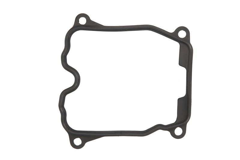 Dihtung poklopca ventila Can-Am Outlander S410089015001
